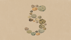 test-7